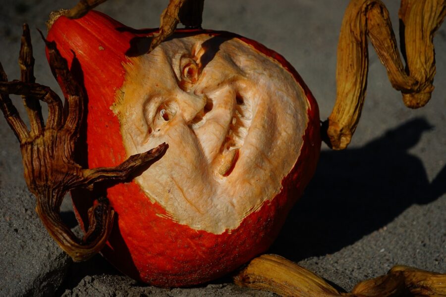 Tipps für den Herbst