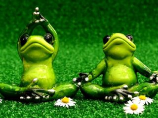 Perfekt für Couchpotatoes im Frühling: Yoga ist gesund