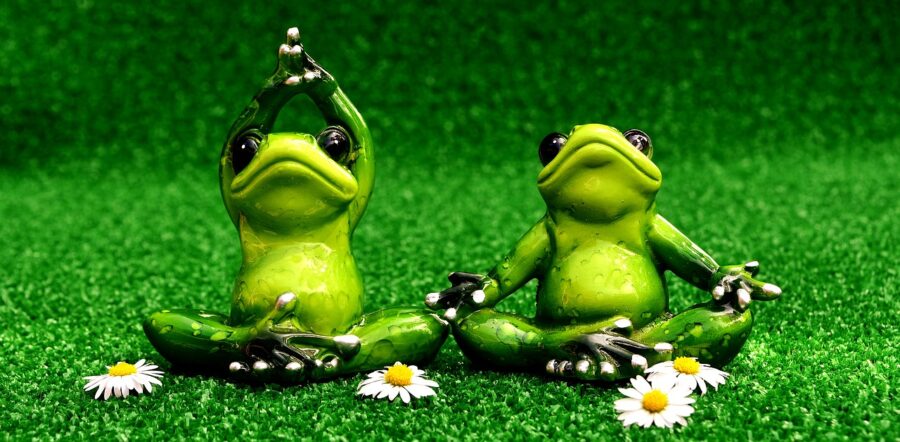 Perfekt für Couchpotatoes im Frühling: Yoga für Dich und Deine Gesundheit